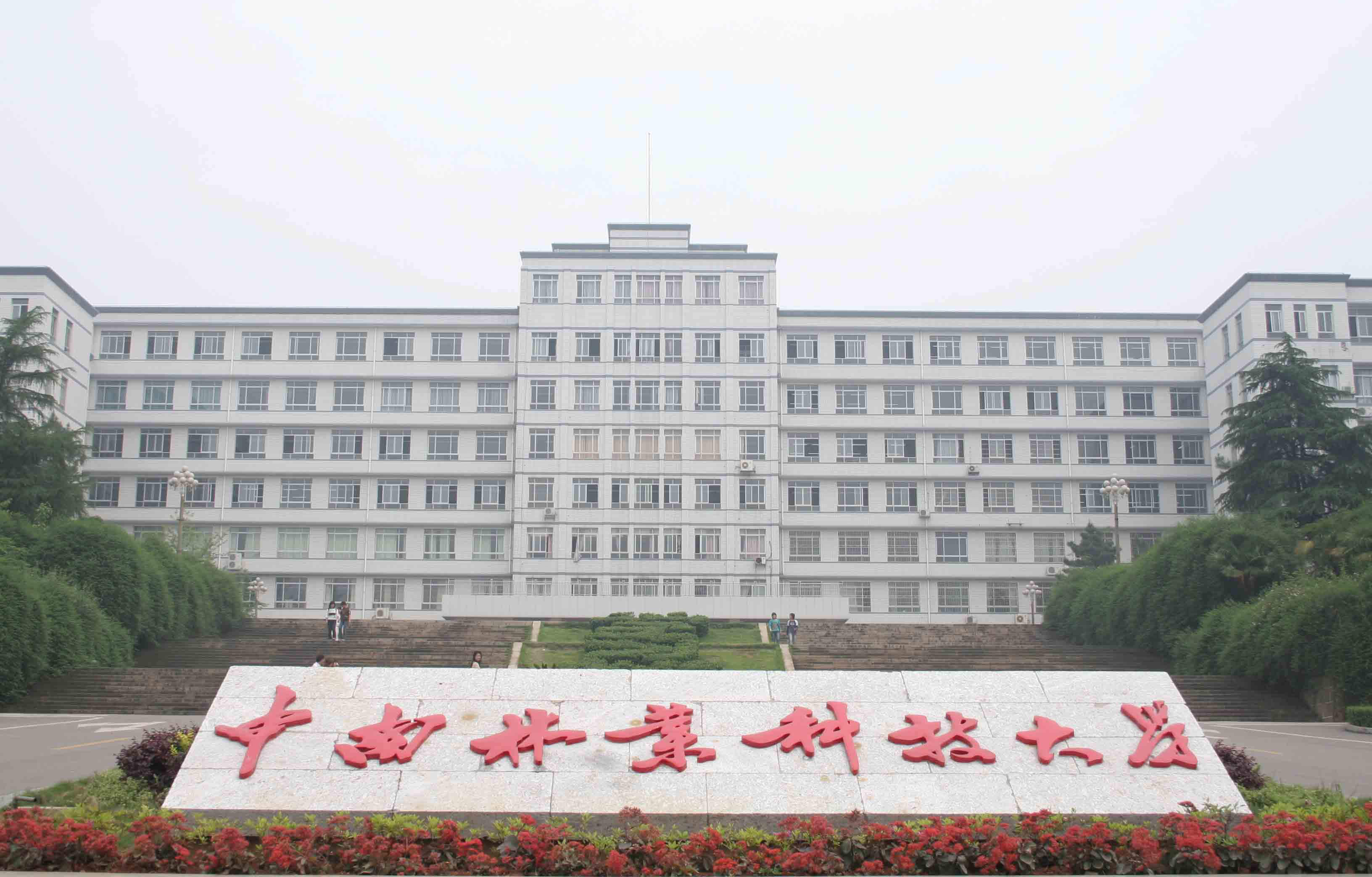中南林业科技2019MPAcc复试内容及参考书