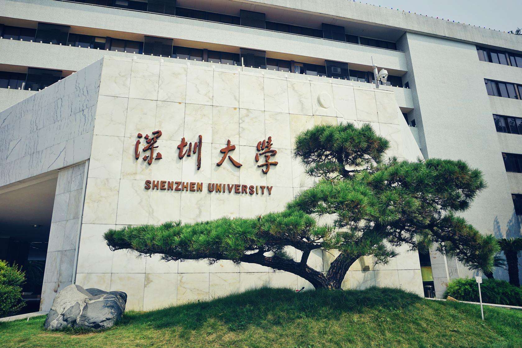 2020年深圳大学MPAcc会计硕士录取情况分析