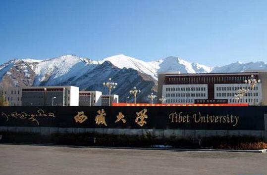 西藏大学2021年MPAcc复试科目及复试参考书目