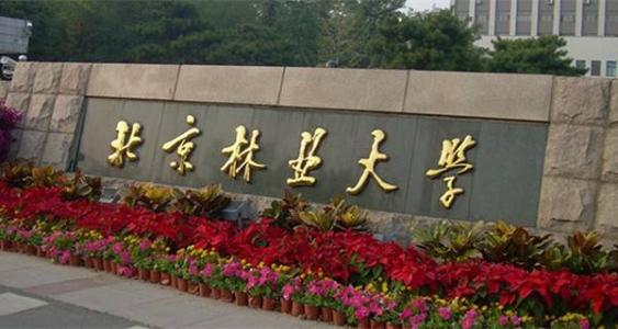 北京林业大学2021年MPAcc复试专业考核内容